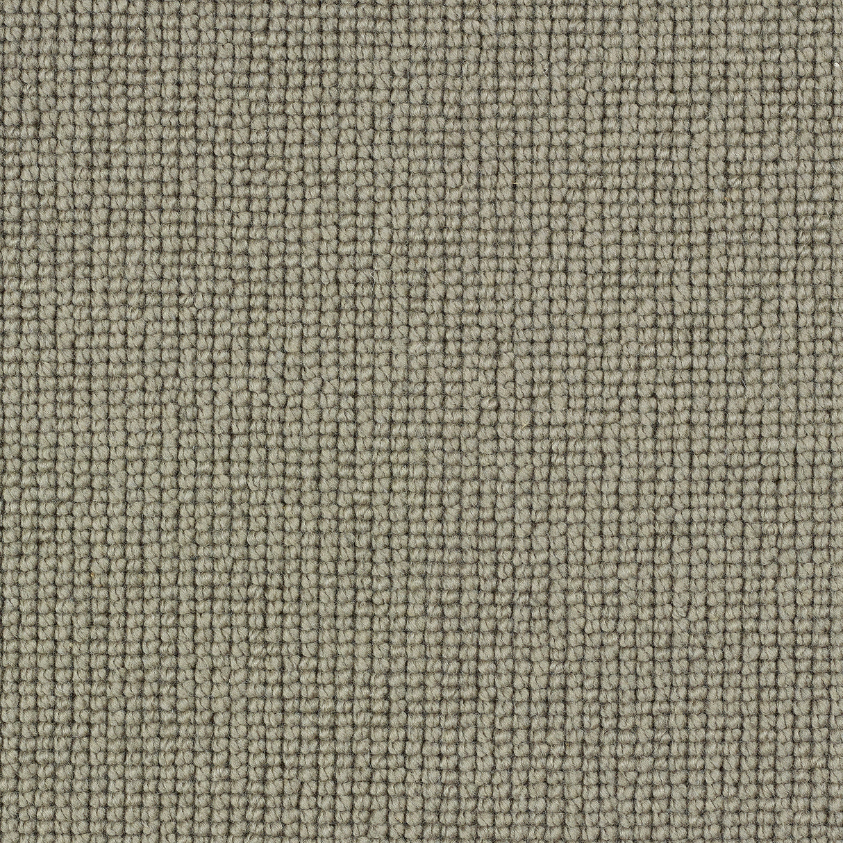Charter Plain Loop Carpet