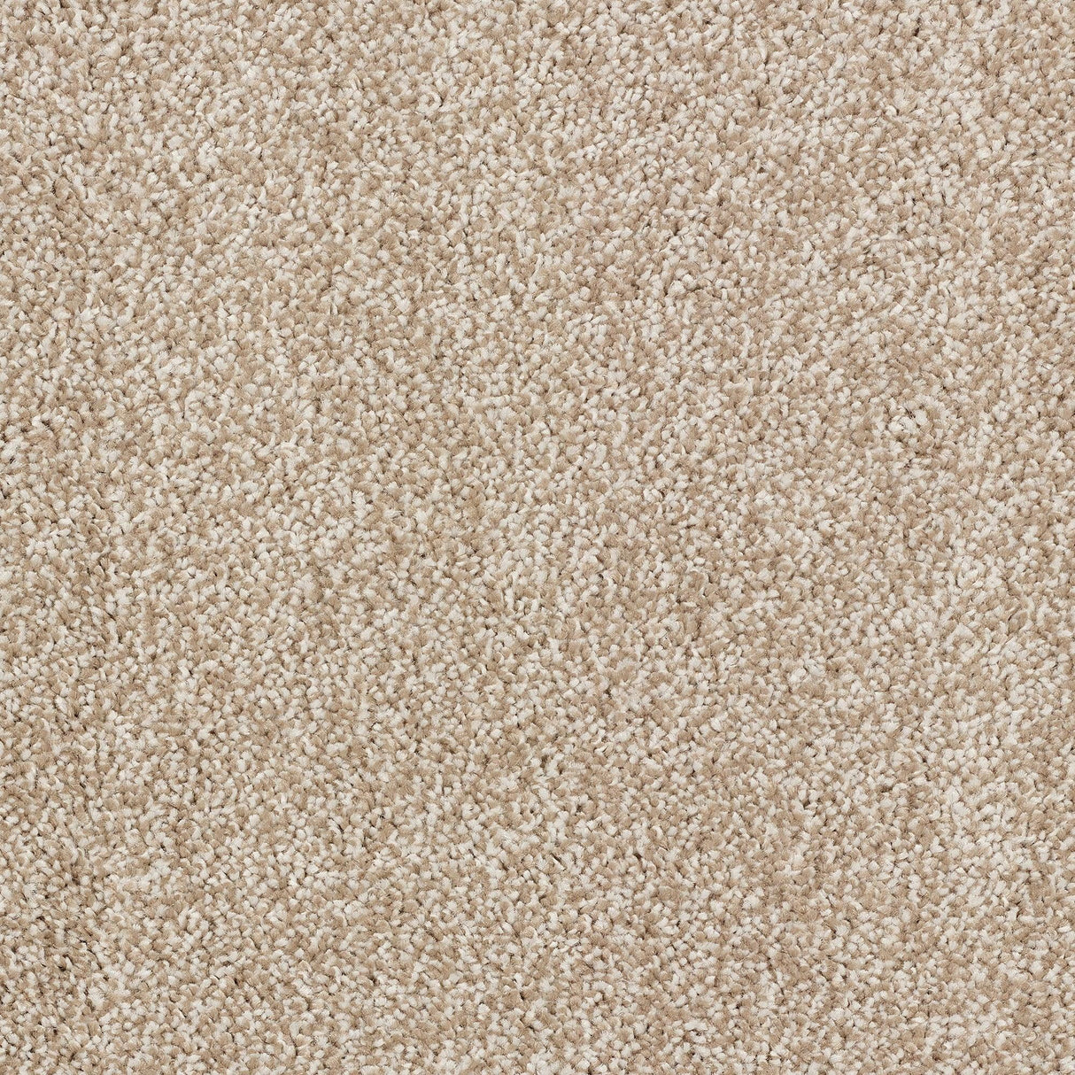 Abingdon Stainfree Affluence - Feather Carpet – by Abingdon Flooring – 1