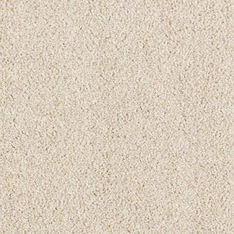 Abingdon Stainfree Affluence - Antique Ivory Carpet – by Abingdon Flooring – 1