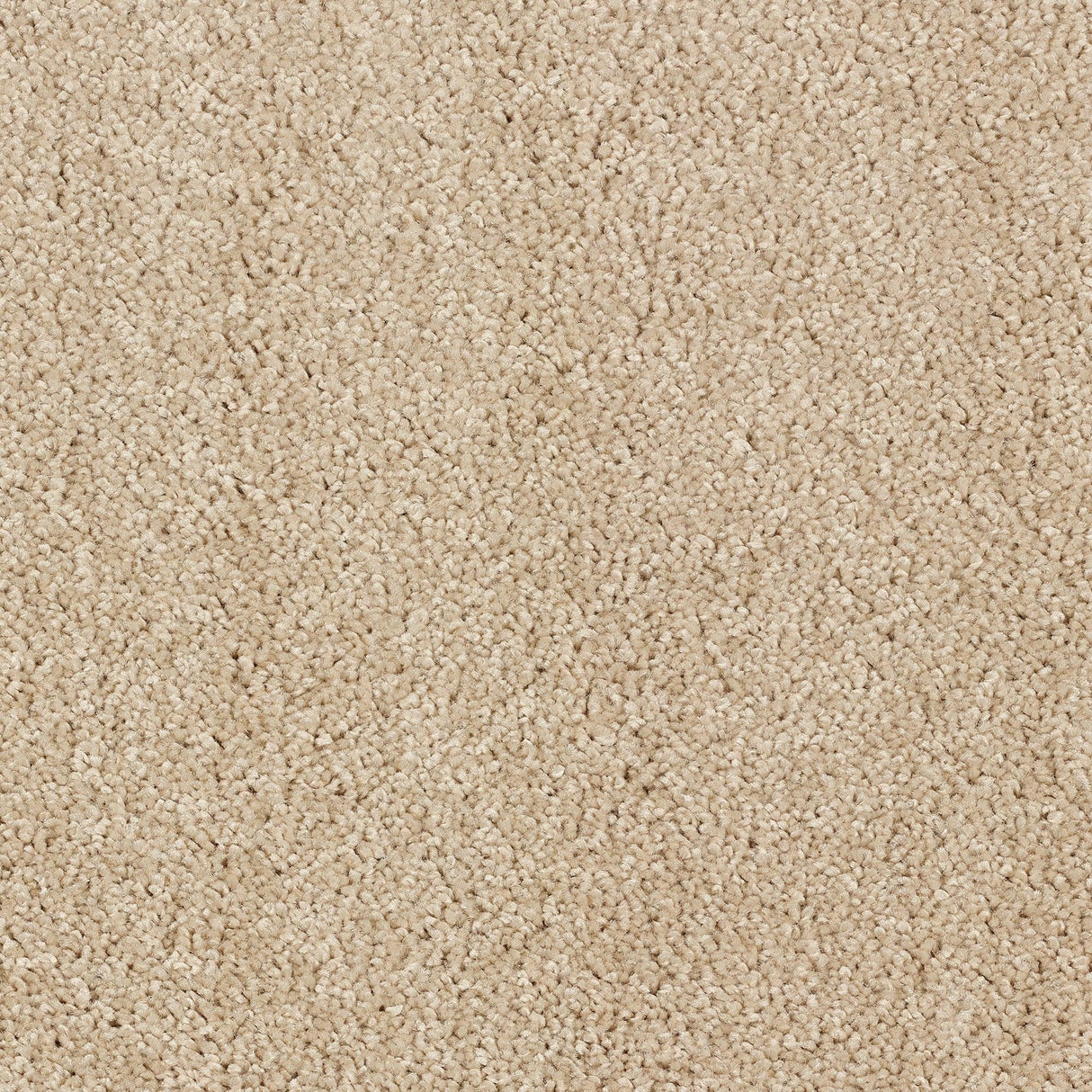 Abingdon Stainfree Affluence - Latte Carpet – by Abingdon Flooring – 1
