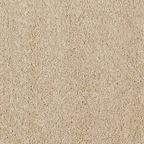 Abingdon Stainfree Affluence - Latte Carpet – by Abingdon Flooring – 1