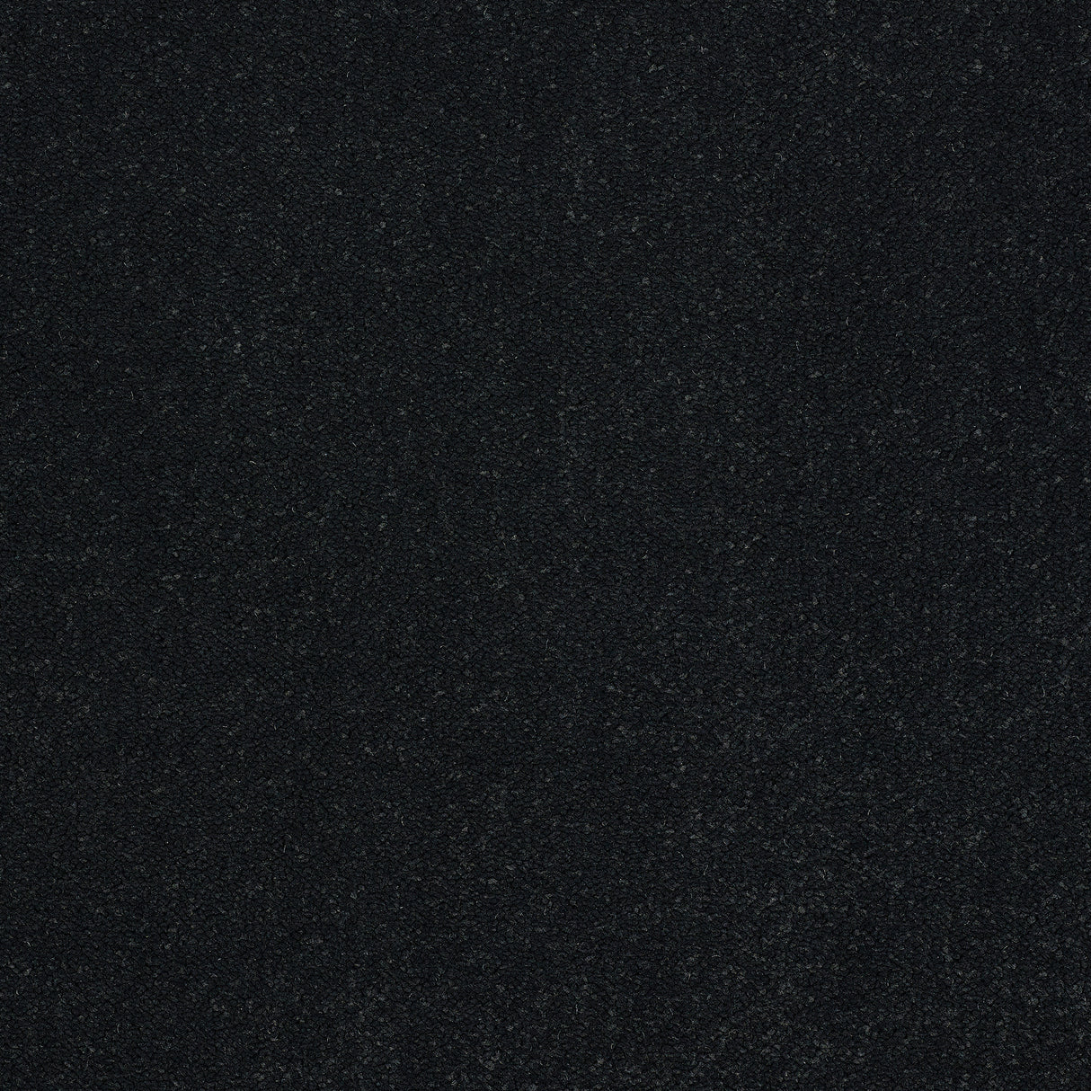Abingdon Captivation - Black Raven Carpet – by Abingdon Flooring – 1