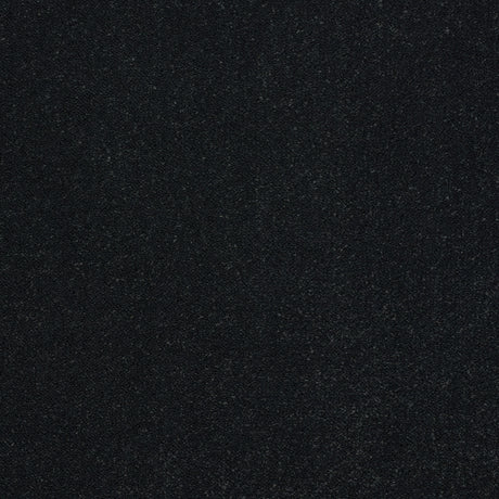 Abingdon Captivation - Black Raven Carpet – by Abingdon Flooring – 1