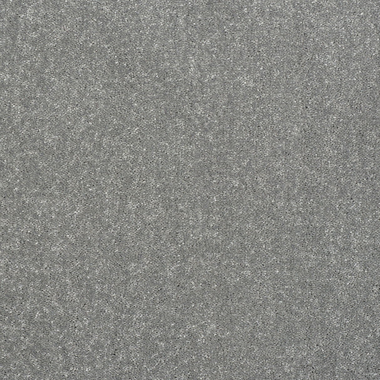 Abingdon Captivation - Frosted Steel Carpet – by Abingdon Flooring – 1