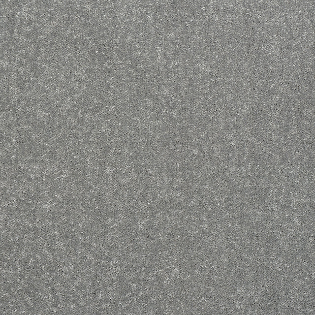 Abingdon Captivation - Frosted Steel Carpet – by Abingdon Flooring – 1