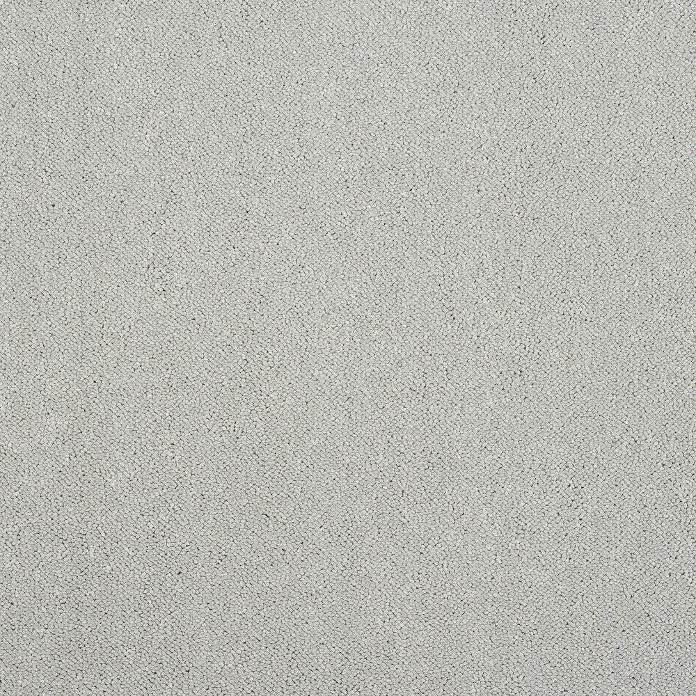 Abingdon Captivation - Tundra Frost Carpet – by Abingdon Flooring – 1
