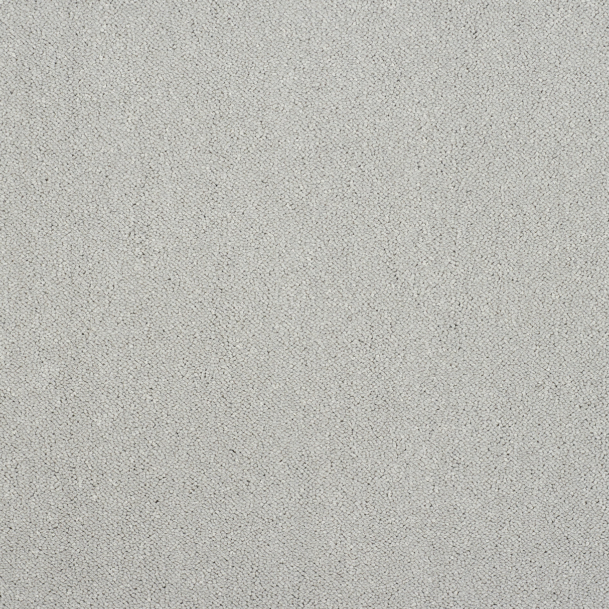 Abingdon Captivation - Tundra Frost Carpet – by Abingdon Flooring – 1