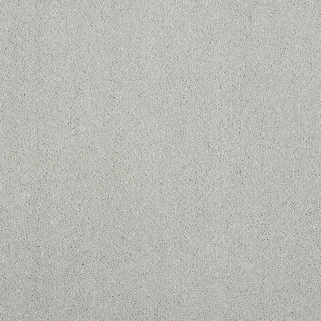 Abingdon Captivation - Tundra Frost Carpet – by Abingdon Flooring – 1