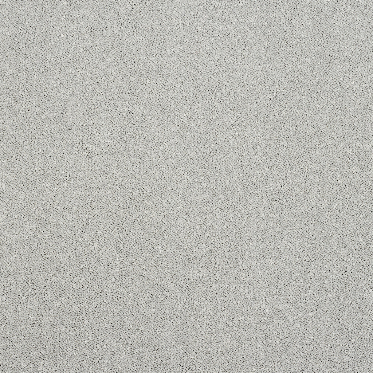 Captivation Twist Carpet