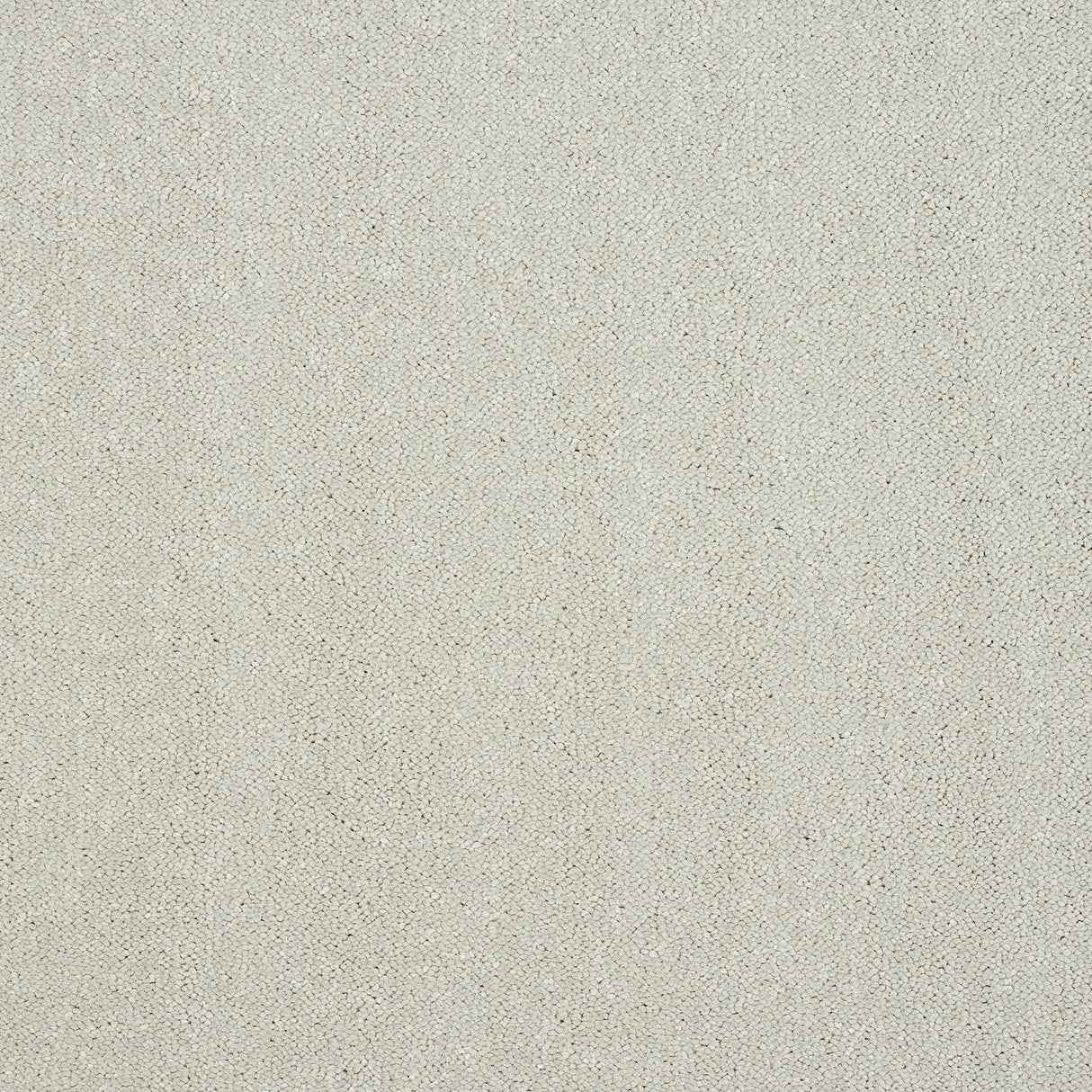 Abingdon Captivation - Jewel Carpet – by Abingdon Flooring – 1