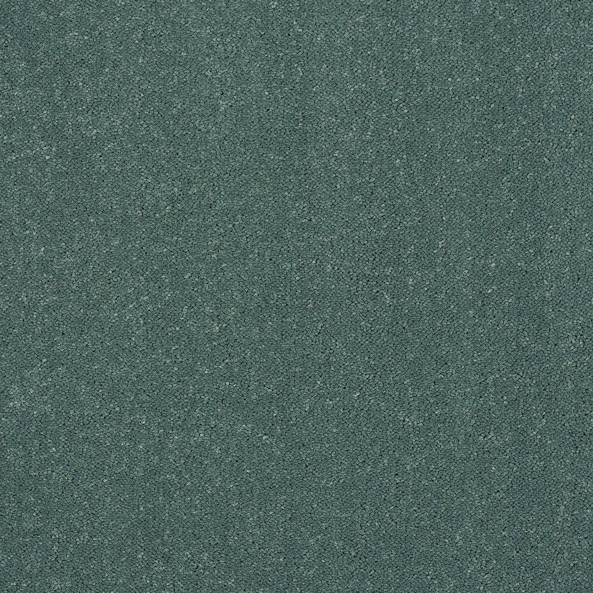 Abingdon Captivation - Treasure Isle Carpet – by Abingdon Flooring – 1