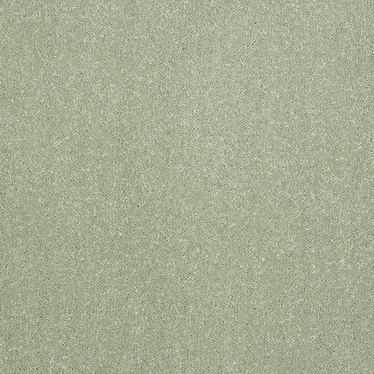 Abingdon Captivation - Putting Green Carpet – by Abingdon Flooring – 1