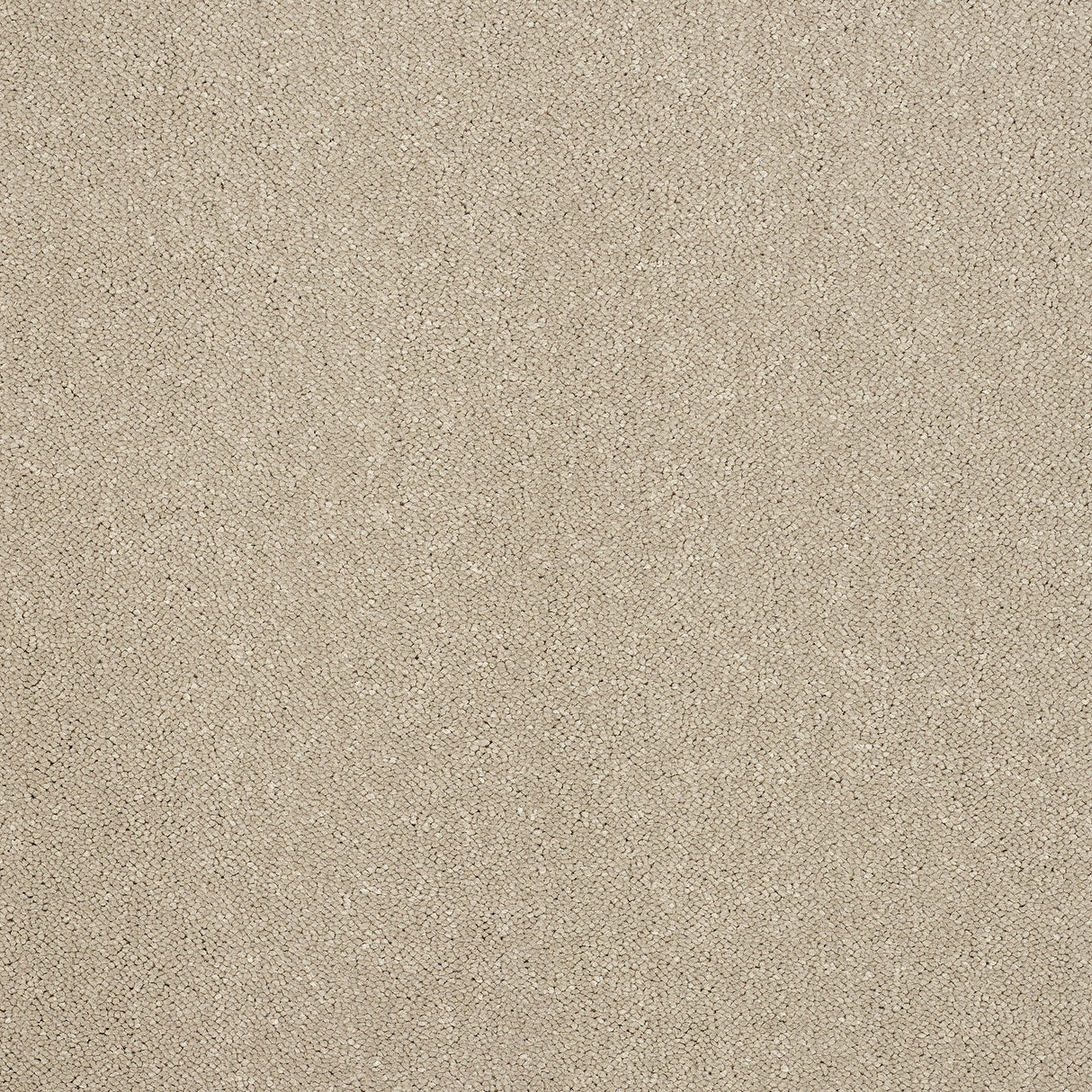 Abingdon Captivation - Moon Cloud Carpet – by Abingdon Flooring – 1