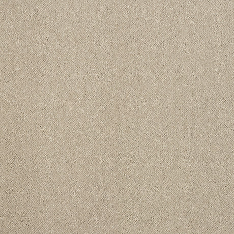 Abingdon Captivation - Moon Cloud Carpet – by Abingdon Flooring – 1