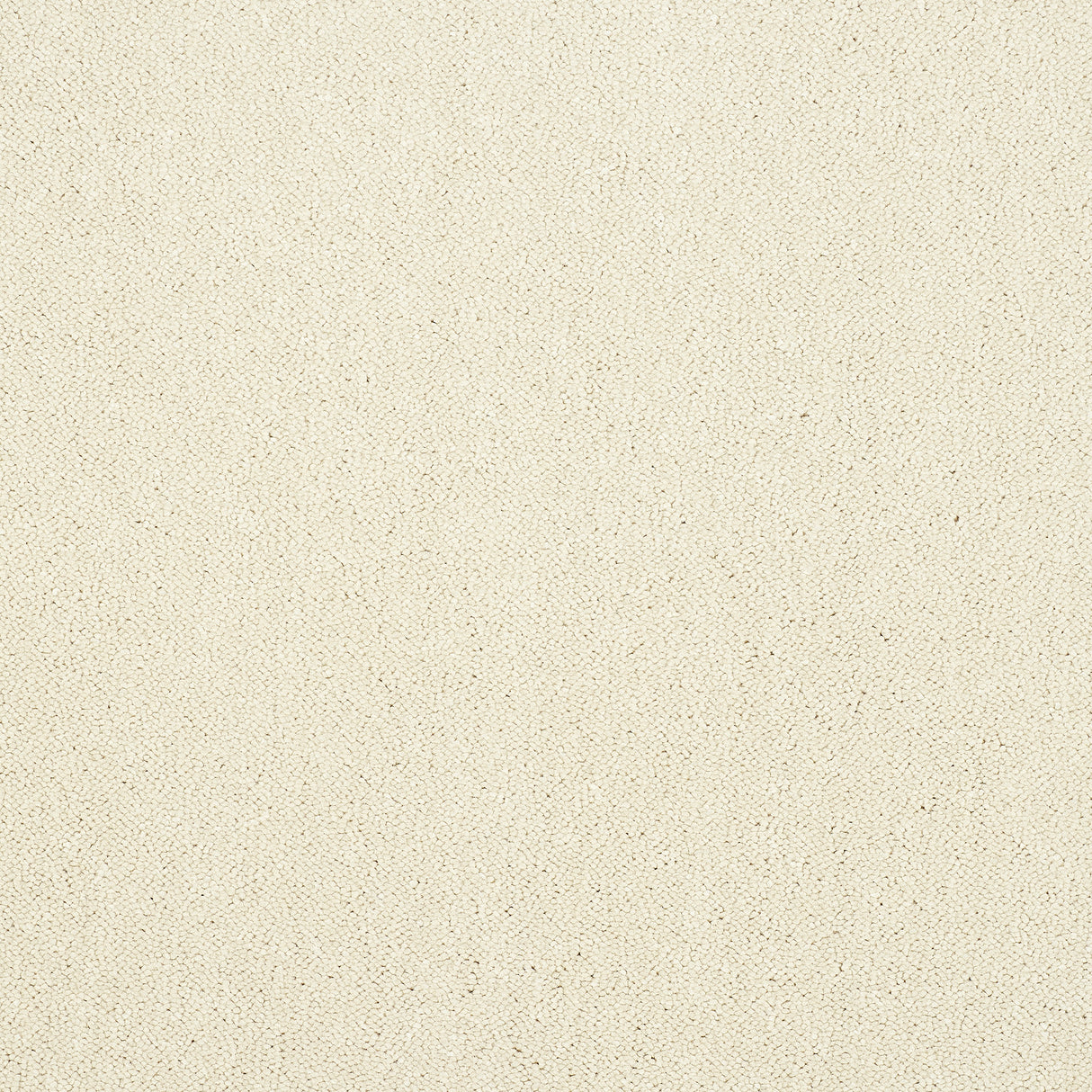 Abingdon Captivation - Cloudy Dreams Carpet – by Abingdon Flooring – 1