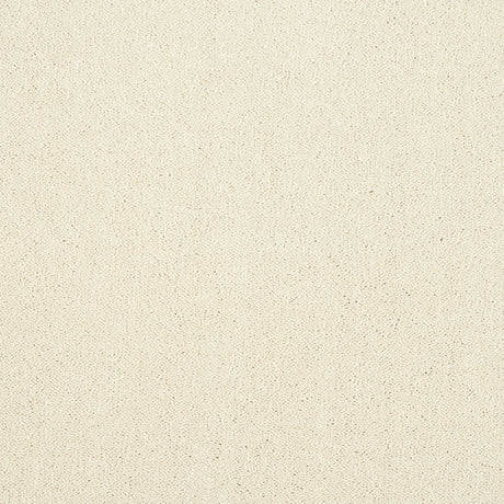Abingdon Captivation - Cloudy Dreams Carpet – by Abingdon Flooring – 1