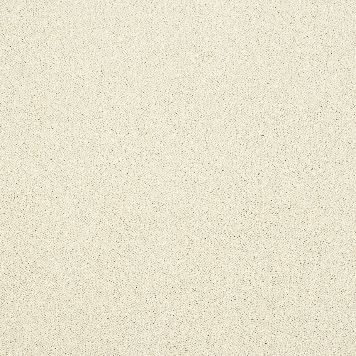 Captivation Twist Carpet