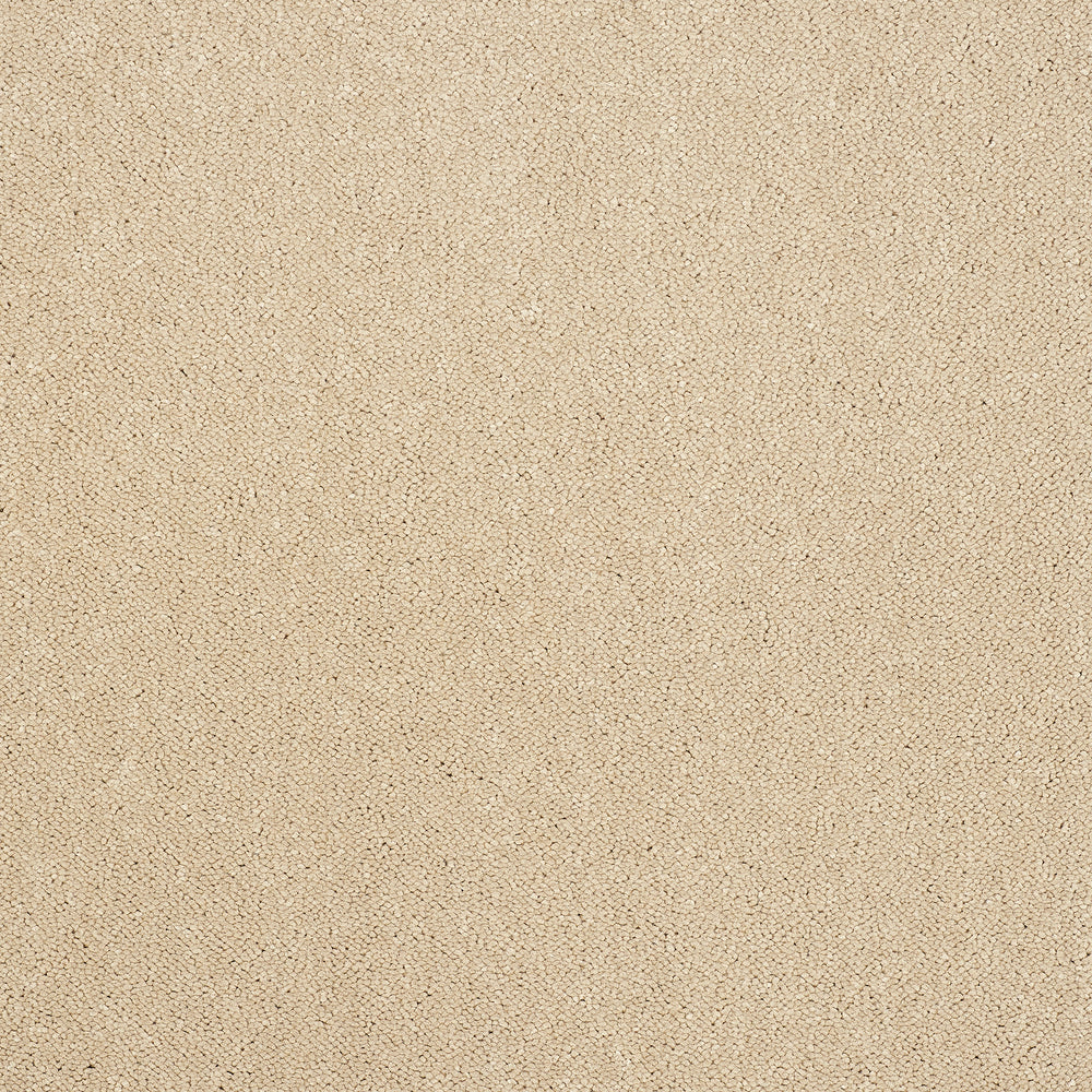 Abingdon Captivation - Linen Wash Carpet – by Abingdon Flooring – 1