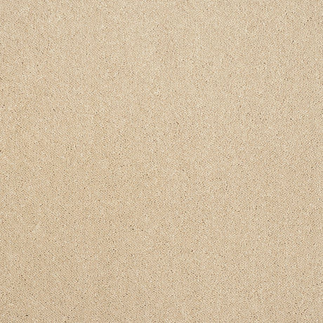 Abingdon Captivation - Linen Wash Carpet – by Abingdon Flooring – 1