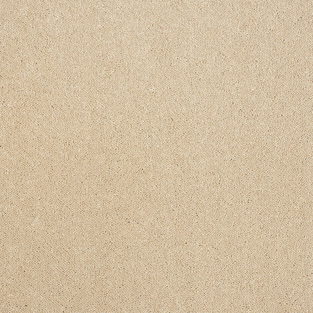 Abingdon Captivation - Linen Wash Carpet – by Abingdon Flooring – 1