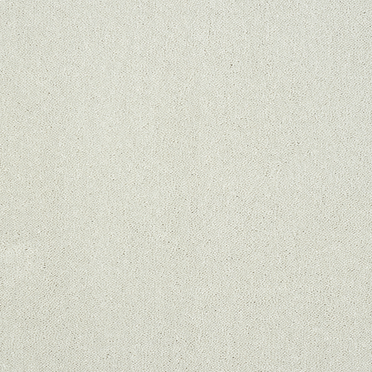 Abingdon Captivation - Nimbus Cloud Carpet – by Abingdon Flooring – 1