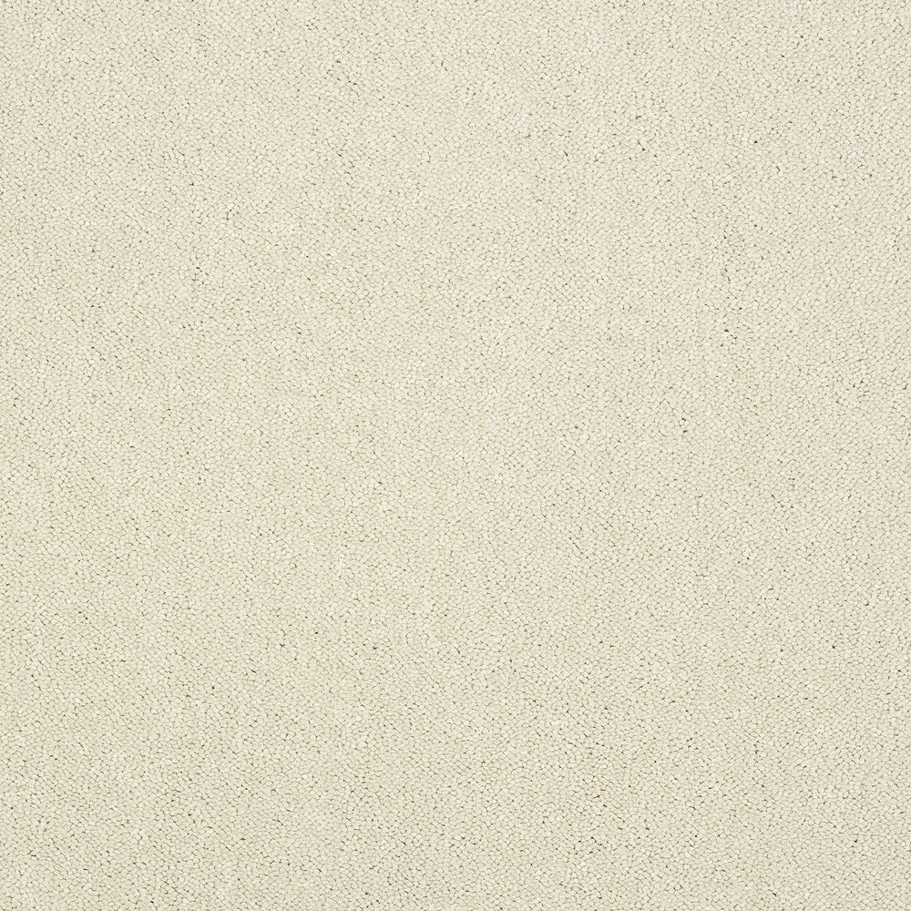 Abingdon Captivation - Snowfall Carpet – by Abingdon Flooring – 1