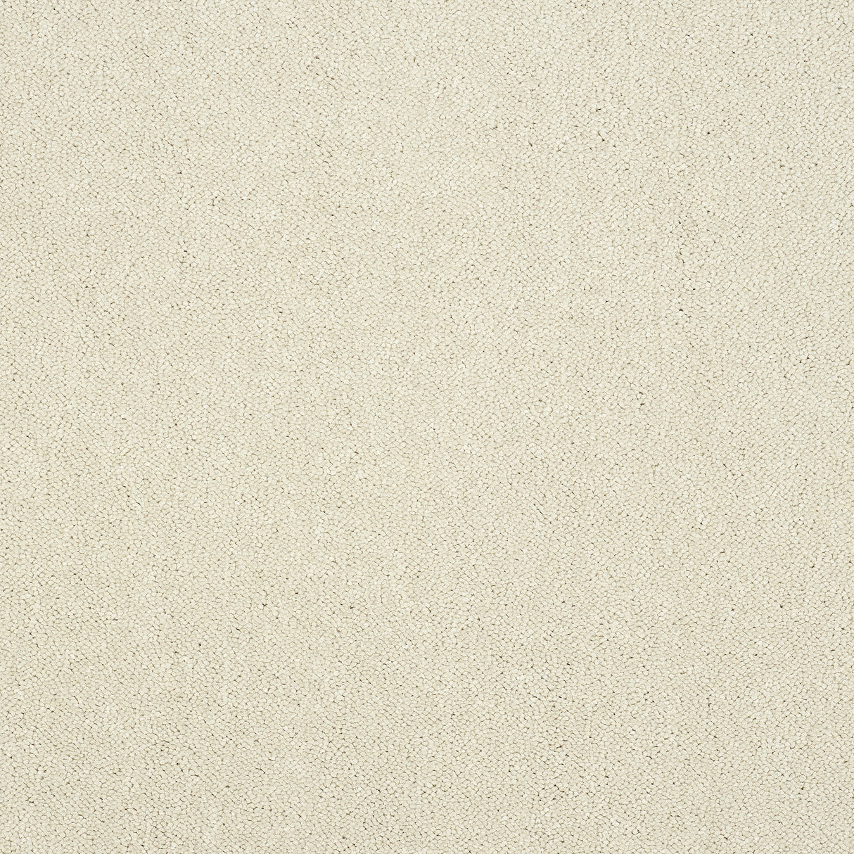 Abingdon Captivation - Snowfall Carpet – by Abingdon Flooring – 1