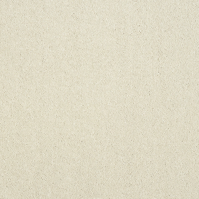 Abingdon Captivation - Snowfall Carpet – by Abingdon Flooring – 1