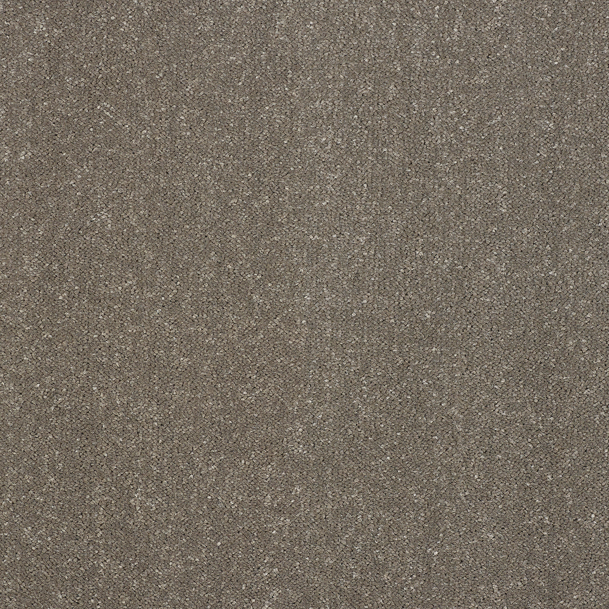 Abingdon Captivation - Seneca Rock Carpet – by Abingdon Flooring – 1