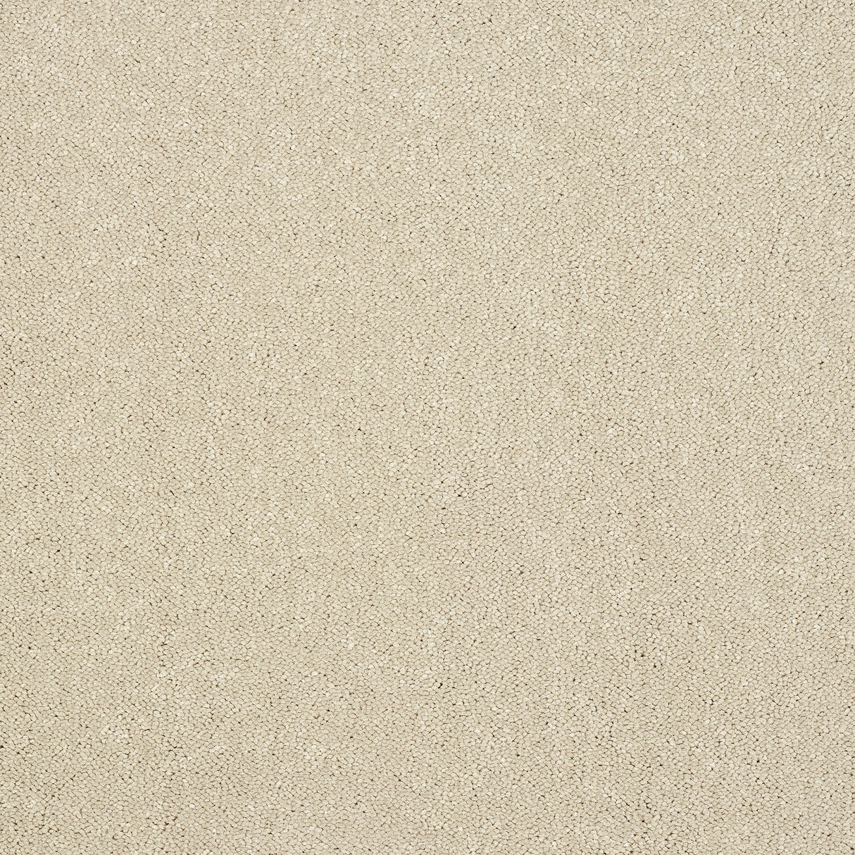 Abingdon Captivation - Turtle Dove Carpet – by Abingdon Flooring – 1