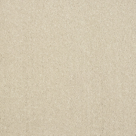 Abingdon Captivation - Turtle Dove Carpet – by Abingdon Flooring – 1
