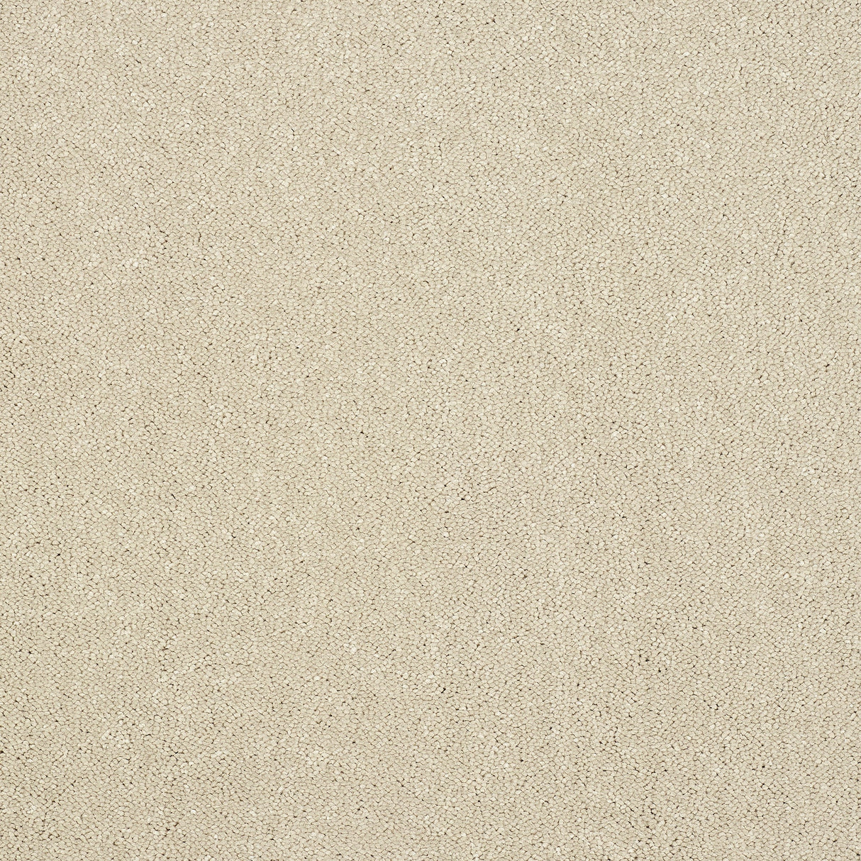 Captivation Twist Carpet