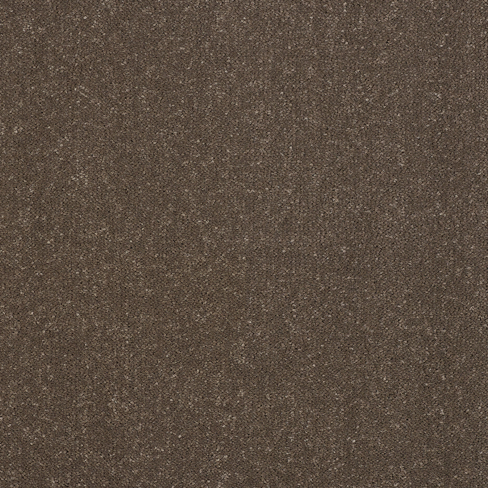 Abingdon Captivation - Pentland Carpet – by Abingdon Flooring – 1