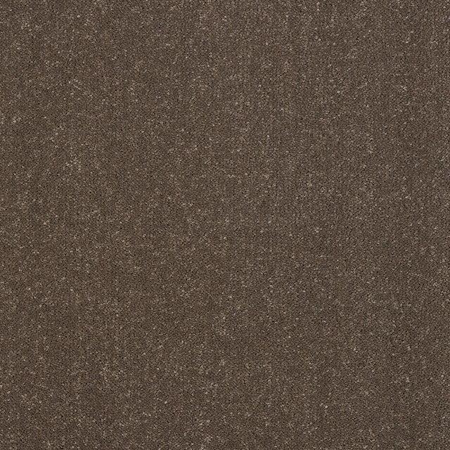 Abingdon Captivation - Pentland Carpet – by Abingdon Flooring – 1