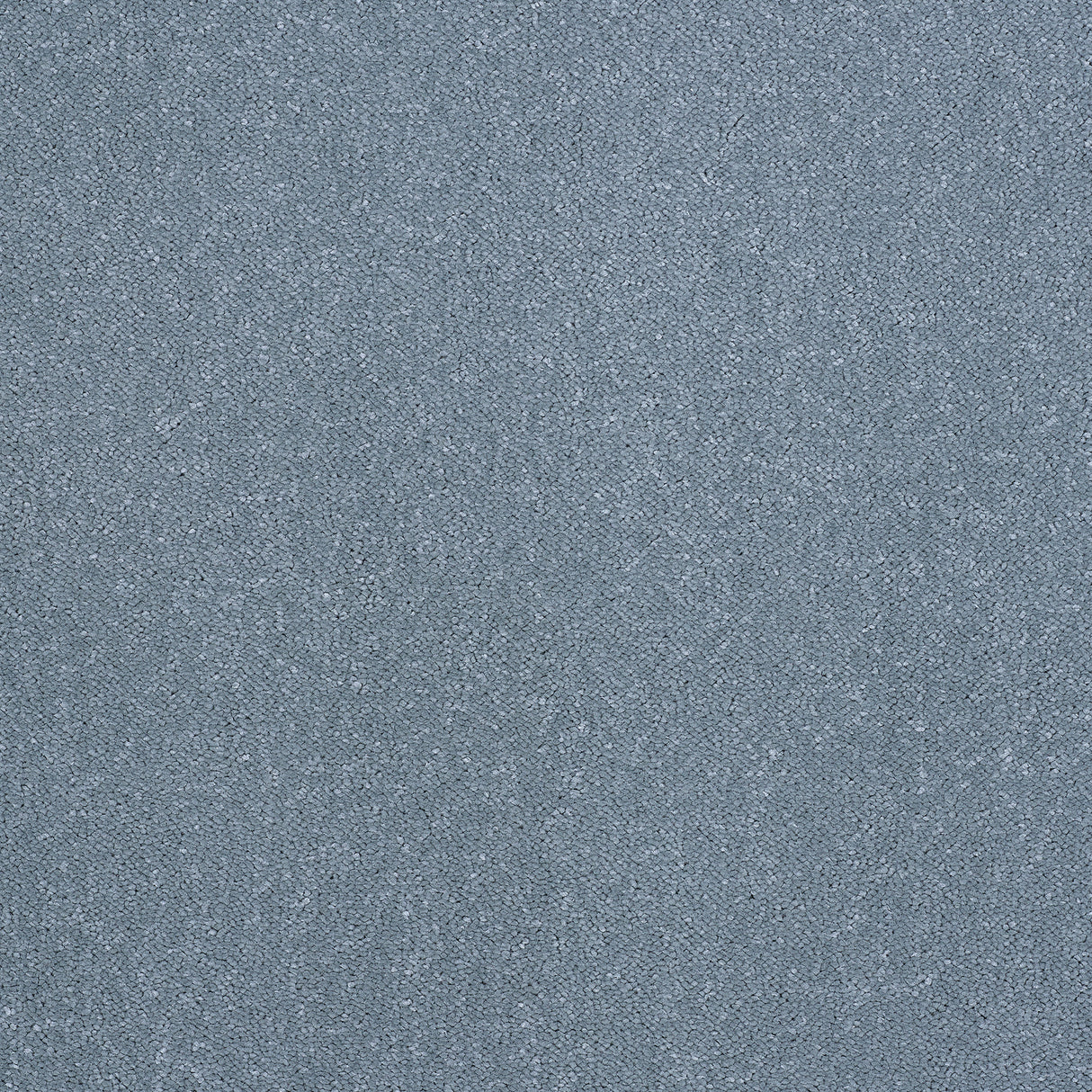 Abingdon Captivation - Oceanside Carpet – by Abingdon Flooring – 1