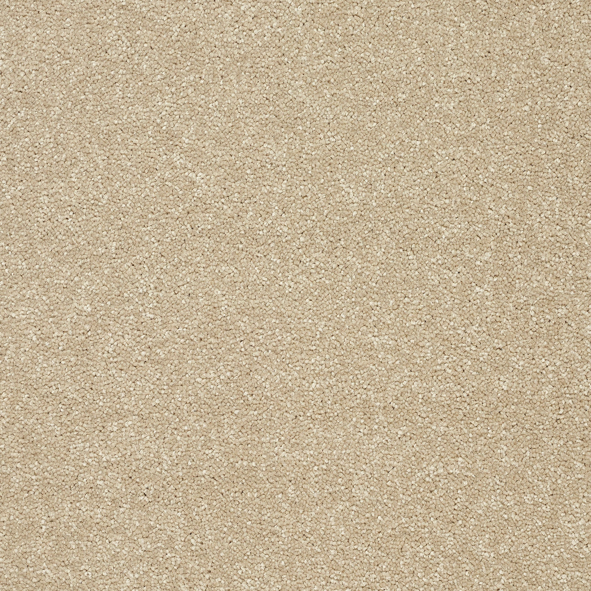 StainFree Twist Carpet