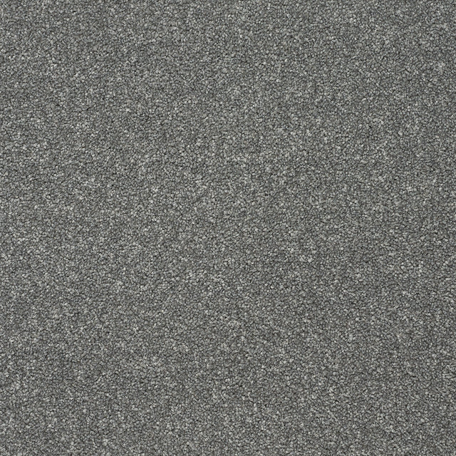 Abingdon Stainfree Twist - Grey Steel Carpet – by Abingdon Flooring – 1