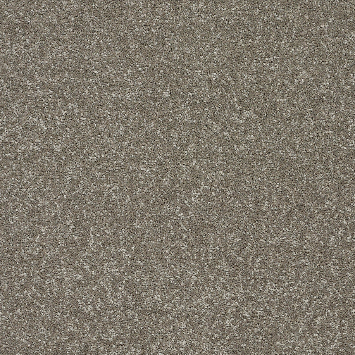 StainFree Twist Carpet