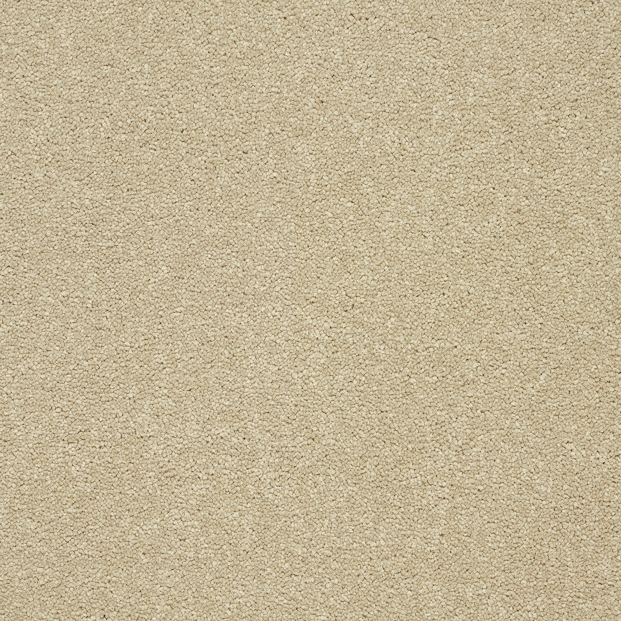 Abingdon Stainfree Twist - Timeless Carpet – by Abingdon Flooring – 1