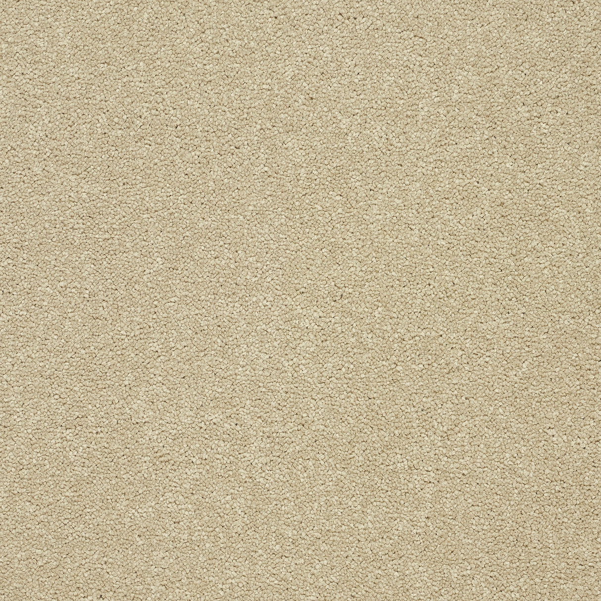 StainFree Twist Carpet