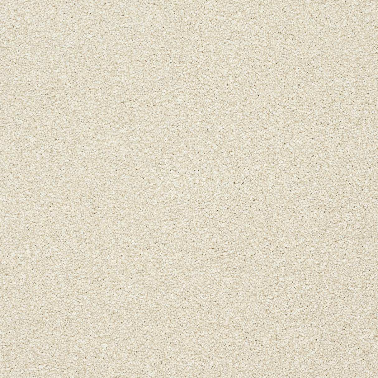 StainFree Twist Carpet