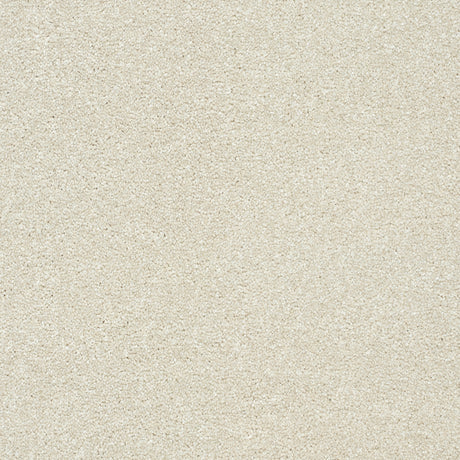 Abingdon Stainfree Twist - Stone White Carpet – by Abingdon Flooring – 1