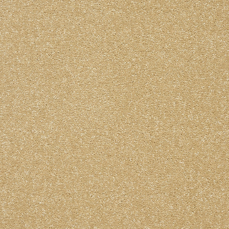 Abingdon Stainfree Twist - Honey Gold Carpet – by Abingdon Flooring – 1
