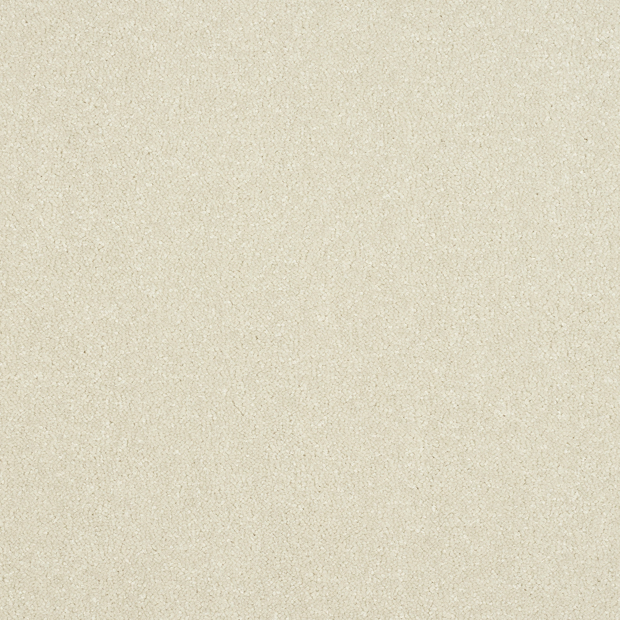 Abingdon Stainfree Ultra - White Whisper Carpet – by Abingdon Flooring – 1