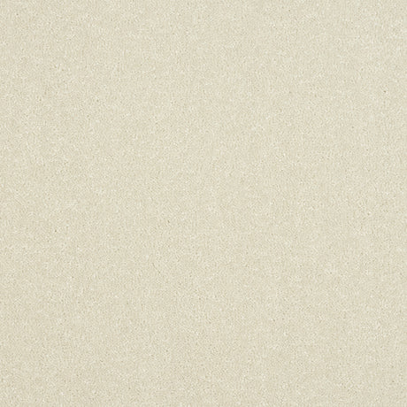 Abingdon Stainfree Ultra - White Whisper Carpet – by Abingdon Flooring – 1