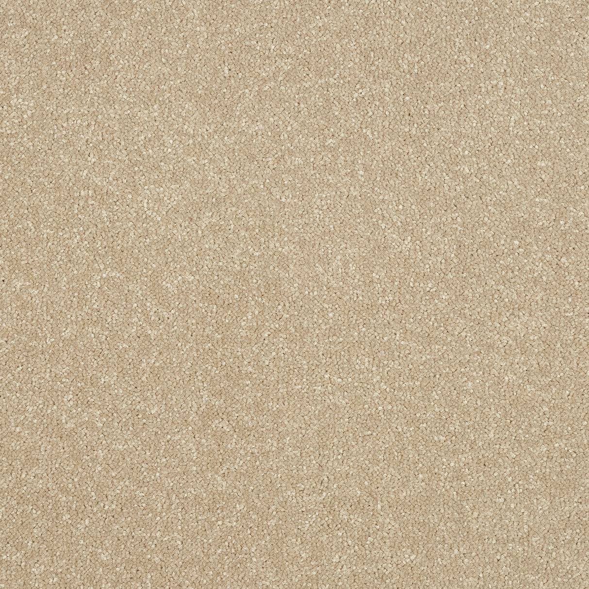 Abingdon Stainfree Ultra - Manor House Carpet – by Abingdon Flooring – 1