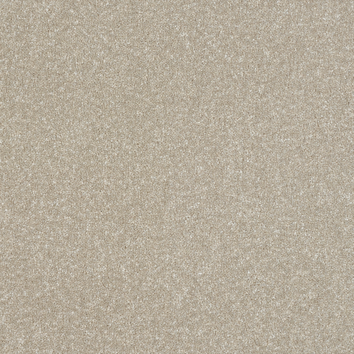 Abingdon Stainfree Ultra - Parchment Carpet – by Abingdon Flooring – 1
