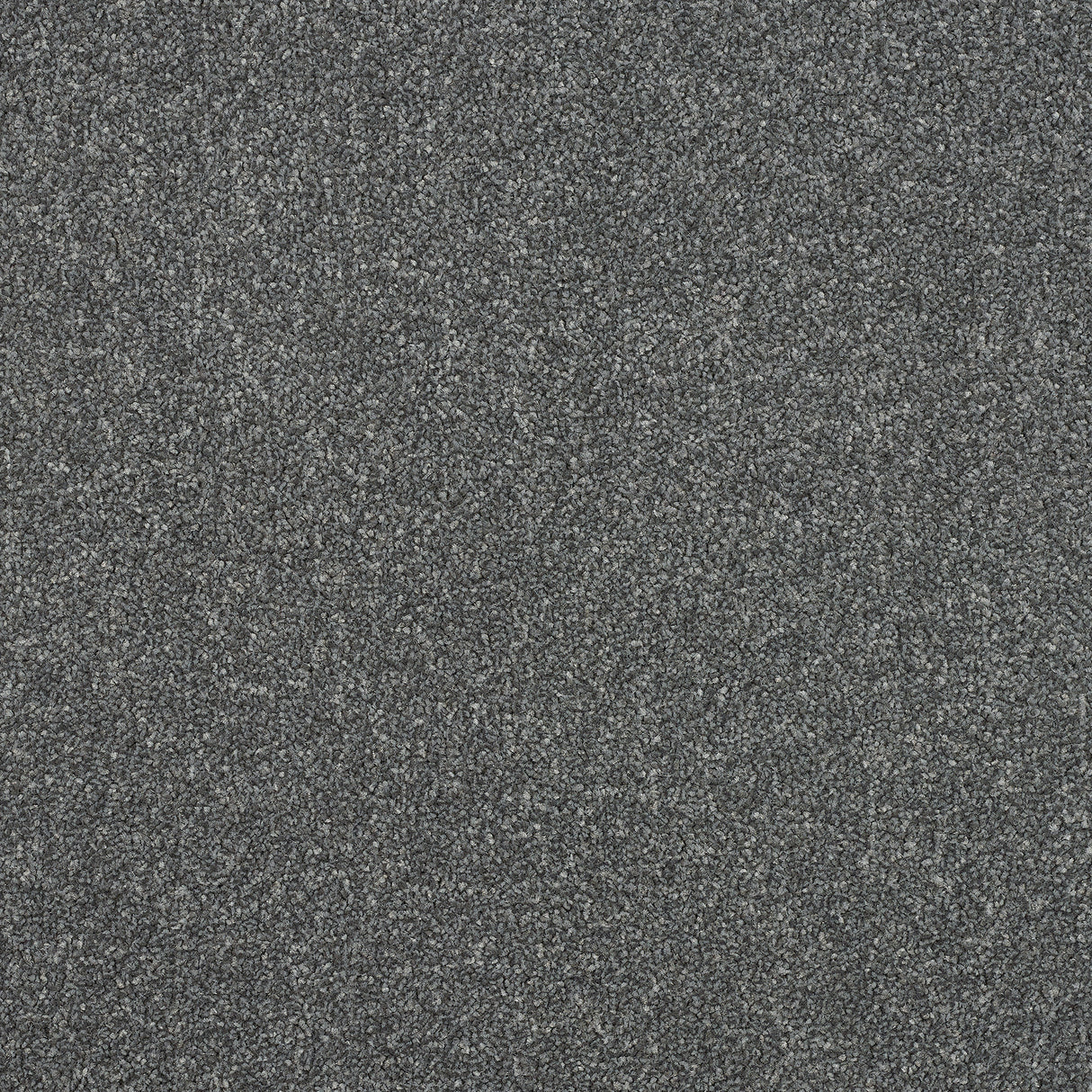 Abingdon Stainfree Ultra - Gunmetal Carpet – by Abingdon Flooring – 1