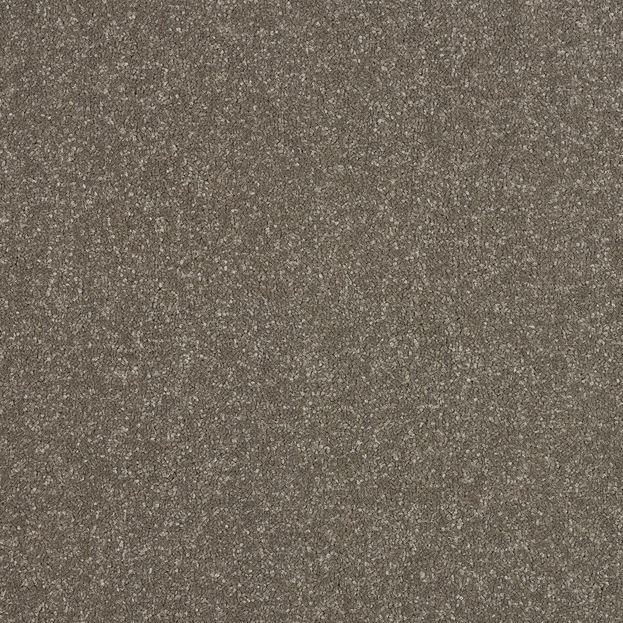 Abingdon Stainfree Ultra - Dolomite Carpet – by Abingdon Flooring – 1