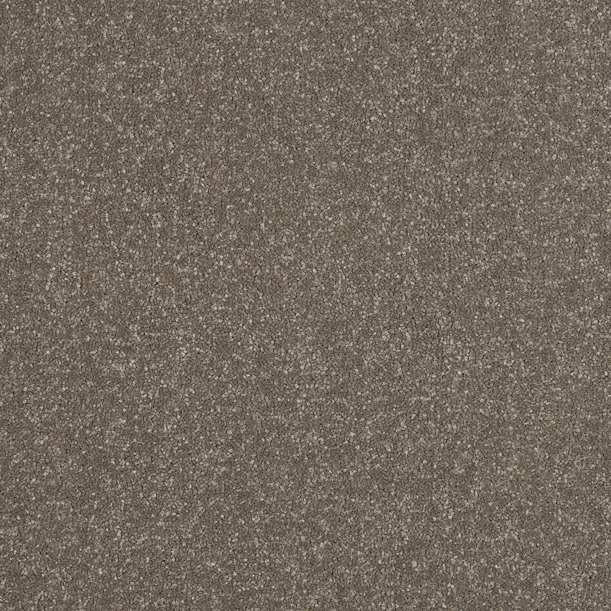 StainFree Ultra Carpet